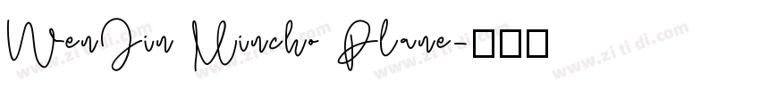 WenJin Mincho Plane字体转换